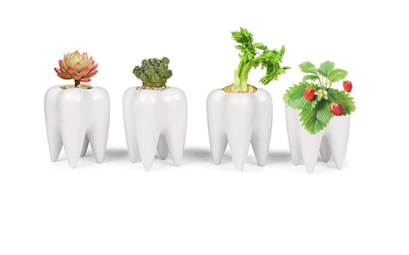 Süper Dişler İçin Süper Gıdalar - Sağlıklı Dişler ve Diş Etleri için 7 Yiyecek